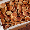 Mini Welsh Cakes Catering Box (120 Pack)
